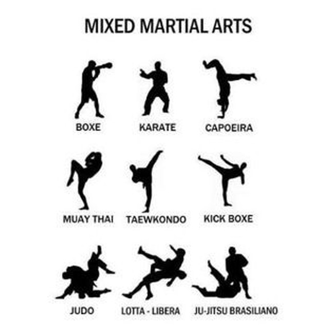 marvelous martial arts