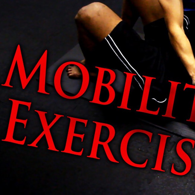 mobility and flexibility
